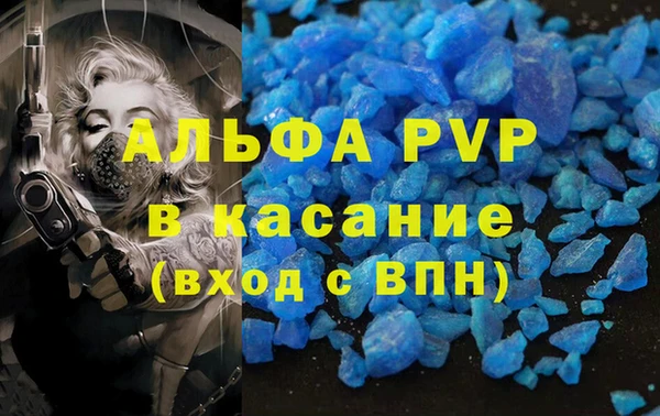 индика Новокубанск