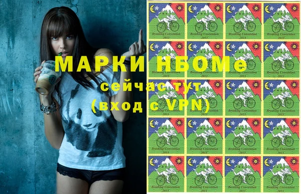 индика Новокубанск