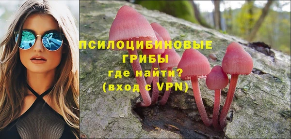 индика Новокубанск