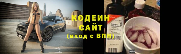 индика Новокубанск