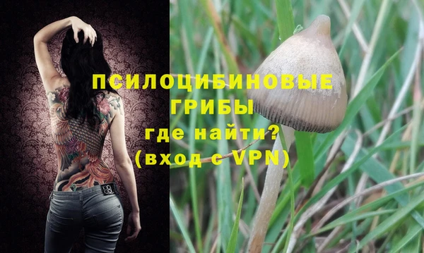 индика Новокубанск