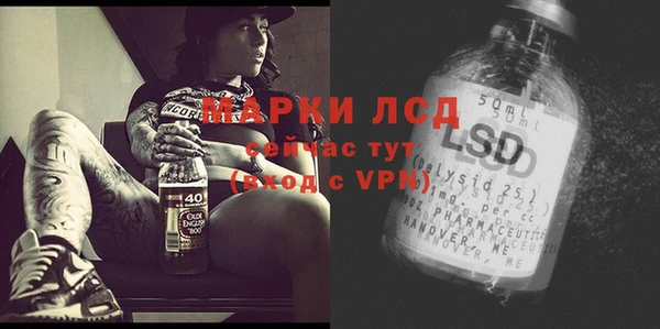 индика Новокубанск