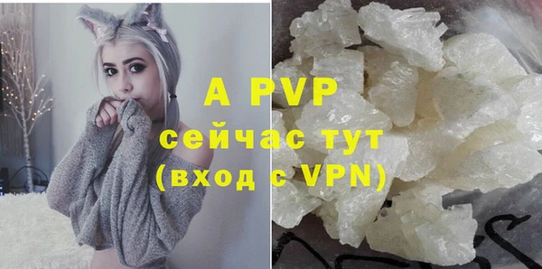 индика Новокубанск