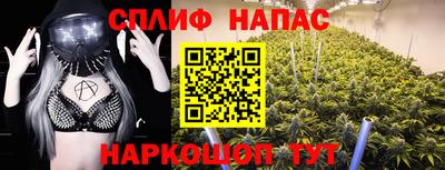 молекула духа Гусев