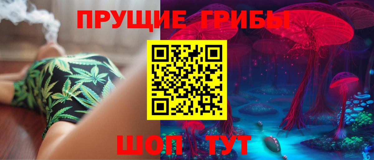 Галлюциногенные грибы Psilocybe  Галлюциногенные грибы Psilocybine cubensis  Корсаков  Вход с VPN 